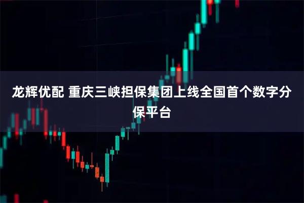 龙辉优配 重庆三峡担保集团上线全国首个数字分保平台