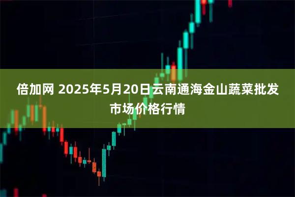 倍加网 2025年5月20日云南通海金山蔬菜批发市场价格行情