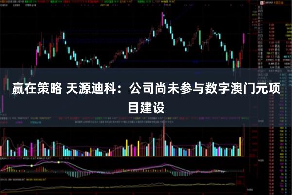 赢在策略 天源迪科：公司尚未参与数字澳门元项目建设